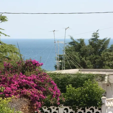 Villa Salento *
